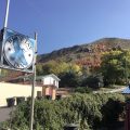 Blue Jay Inn