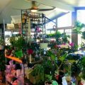 Burley’s Executive Garden Suite