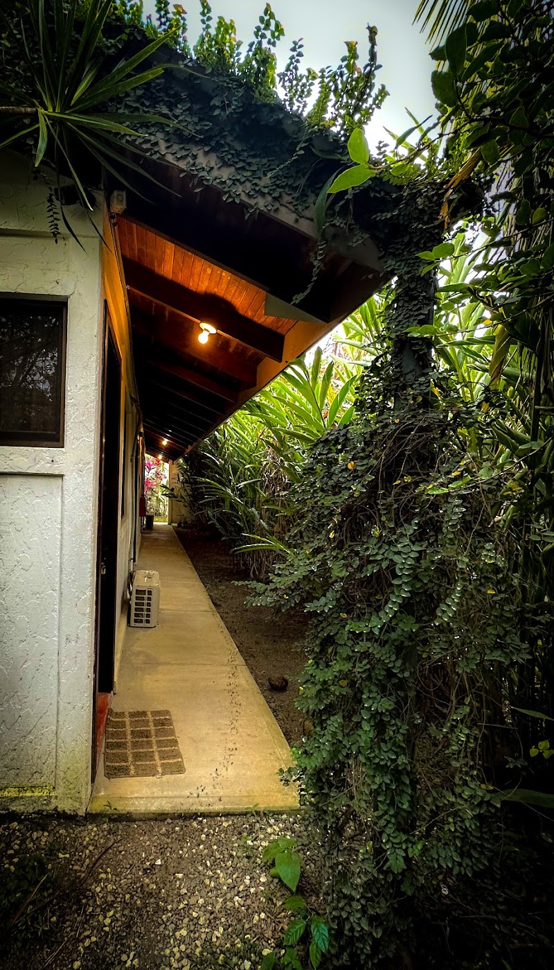 Cabinas Tropicales in Puerto Jimenez, Costa Rica