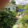 Calypso Inn Wilton Gay Male Resort