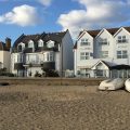 Camelia Hotel