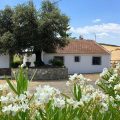 Casa Rural El Naranjo