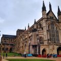 Cathedral View
