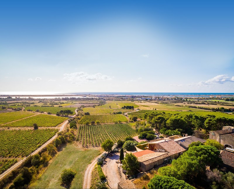 Château Le Bouïs in Lezignan-Corbieres, France