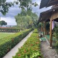Chom Kao Resort