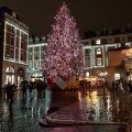 Clapham South Belvedere Hotel