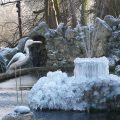 Clarence House Bed & Breakfast
