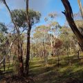 Cockatoo Valley House