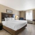 Comfort Inn Columbia Gorge Gateway
