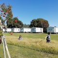Copthorne Caravans