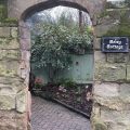 Daisy Cottage