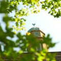 Dalhousie University Conference Services