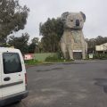 Darlot Motor Inn