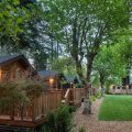 Dawn Ranch