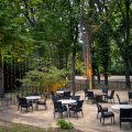 Domaine & Cie