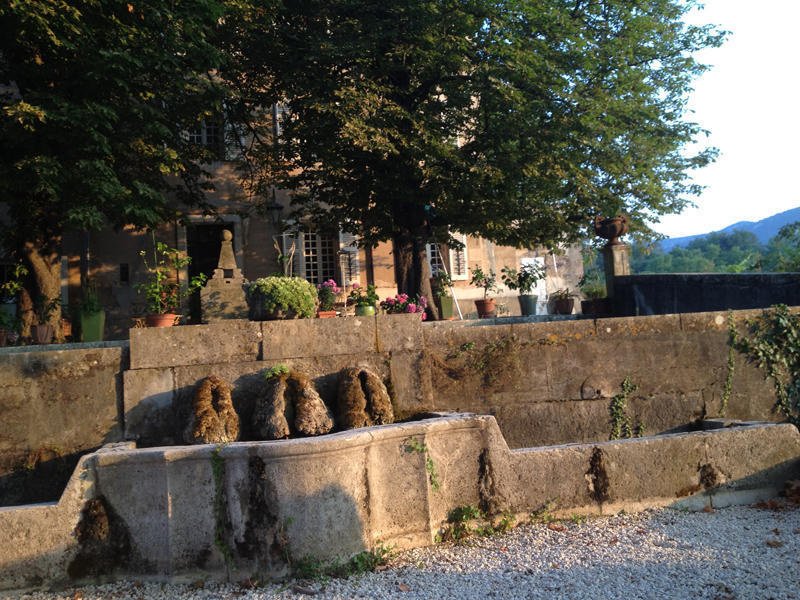Domaine Le Clos du Pavillon in Brignoles, France