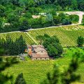 Domaine Regis Freres