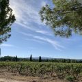 Domaine de la Camarette