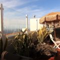 Drago Nest Hostel