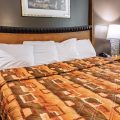 Econo Lodge Tonawanda I-290