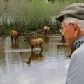 Elk Run Bed and Breakfast