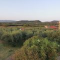 Estelle Hotel