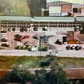 Executive Inn