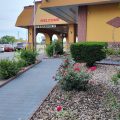Executive Inn and Suites Springdale