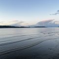Fern Cove Natural Setting