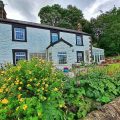 Fernydale Farm