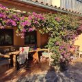 Finca el Corral