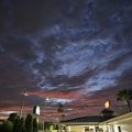 Flamingo Motel