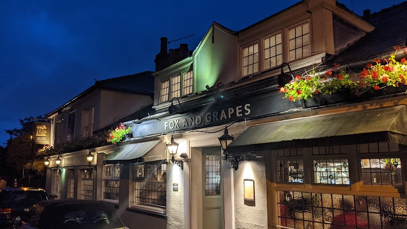 Fox and Grapes in Wimbledon, United Kingdom