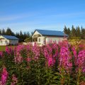 Frenchy’s Fishing and Adventure Cabins