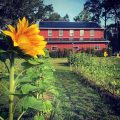 Full Circle Farm
