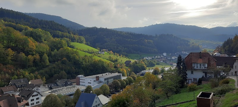 Gästehaus Bächle in Bad Durrheim, Germany
