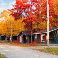 Glenview Cottages