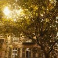 Grand Hotel Nord-Pinus