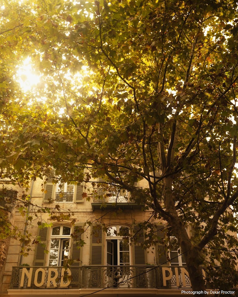 Grand Hotel Nord-Pinus in Arles, France