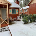 Grand Pine Cabins