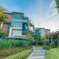 Green Pix Khaoyai