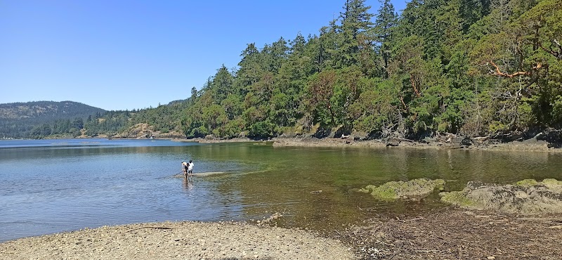 Grouse Nest in Sooke, Canada