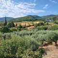 Guesthouse Evridiki
