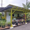 Hale Hapu’u