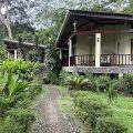 Heliconia Island