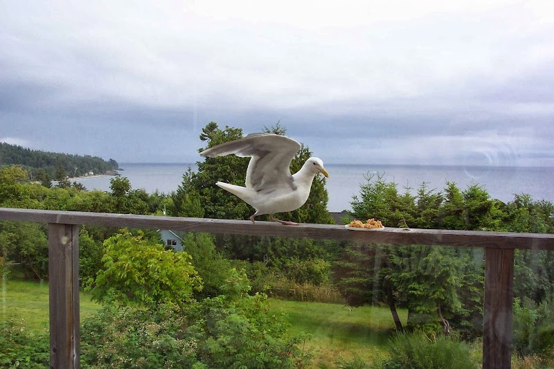 Heron's Rest Bed & Breakfast in Sooke, Canada