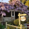 Hidden Oak Inn