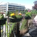 Holiday Inn Express Spokane-Downtown
