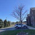 Holiday Inn Express & Suites Traverse City