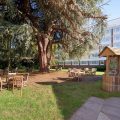 Holiday Inn York